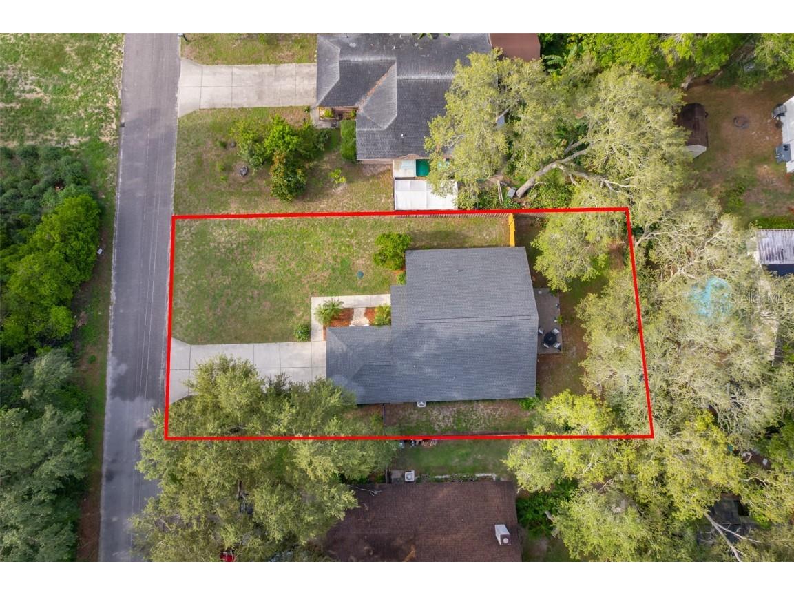 39939 Parkinsonia Street Lady Lake FL 32159 O6315638 image5