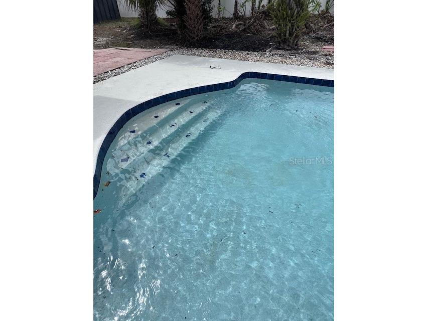 3994 Irma Shores Drive Orlando FL 32817 O6391265 image3