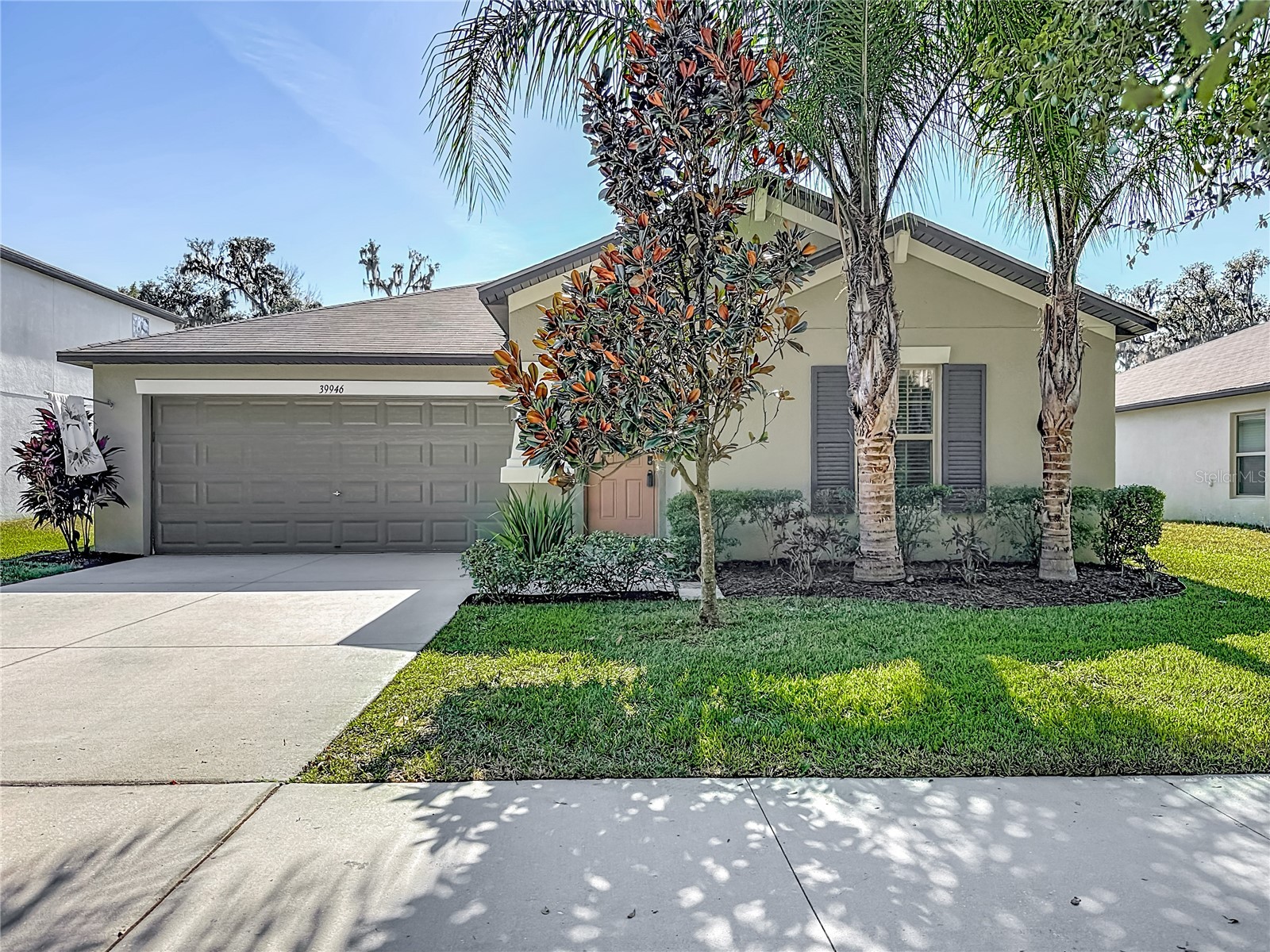 39946 Dawson Chase Drive Zephyrhills FL 33540 TB8450125 image1