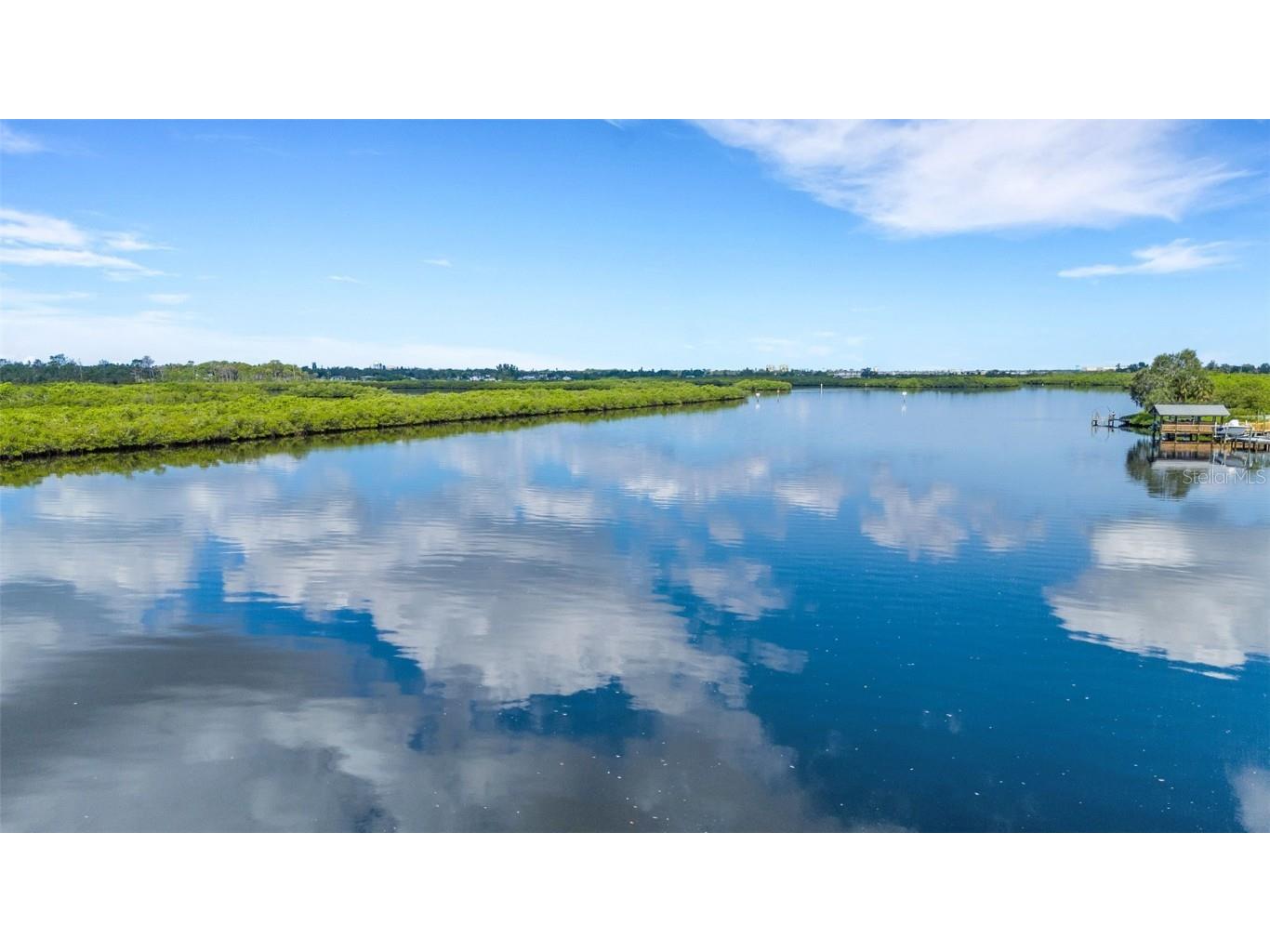 3995 Lakewood Avenue Bradenton FL 34208 - BRADEN RIVER A4659324 image3