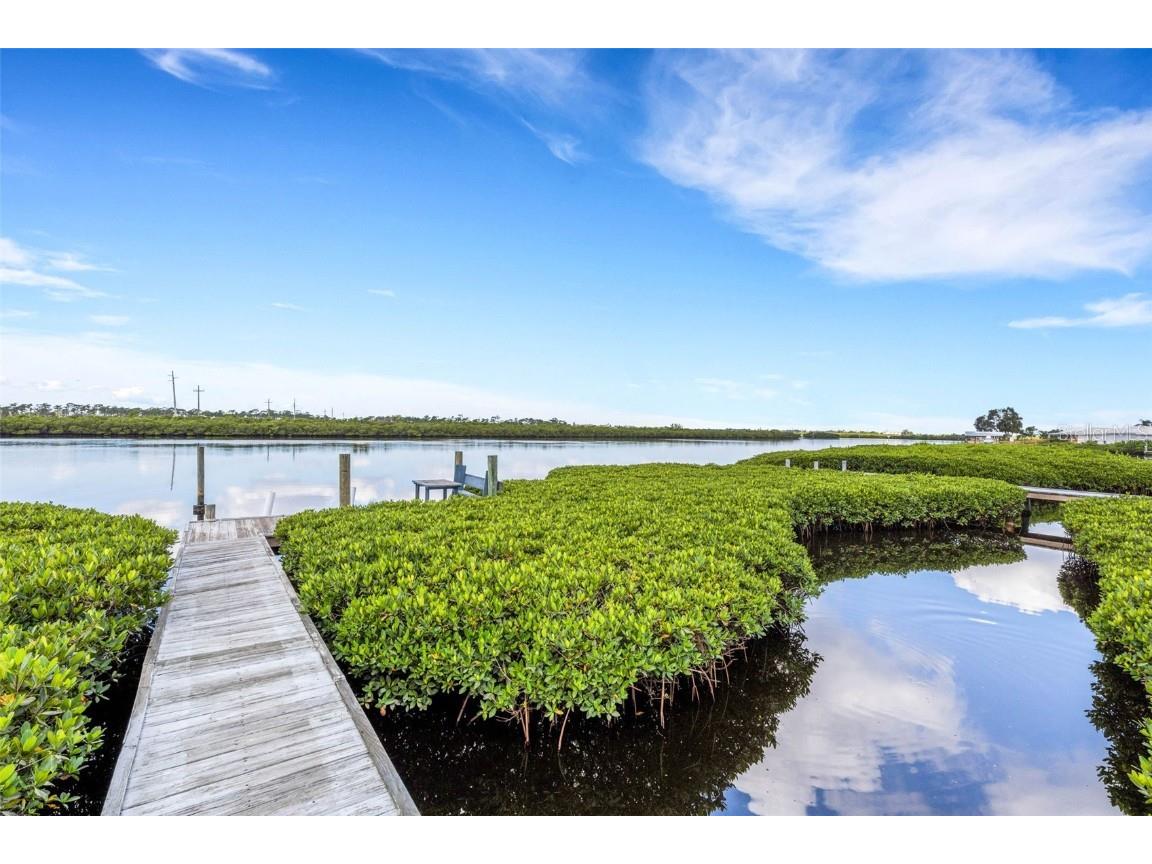 3995 Lakewood Avenue Bradenton FL 34208 - BRADEN RIVER A4659324 image55