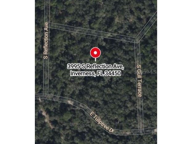 3995 S Reflection Avenue Inverness FL 34450 U8225748 image2