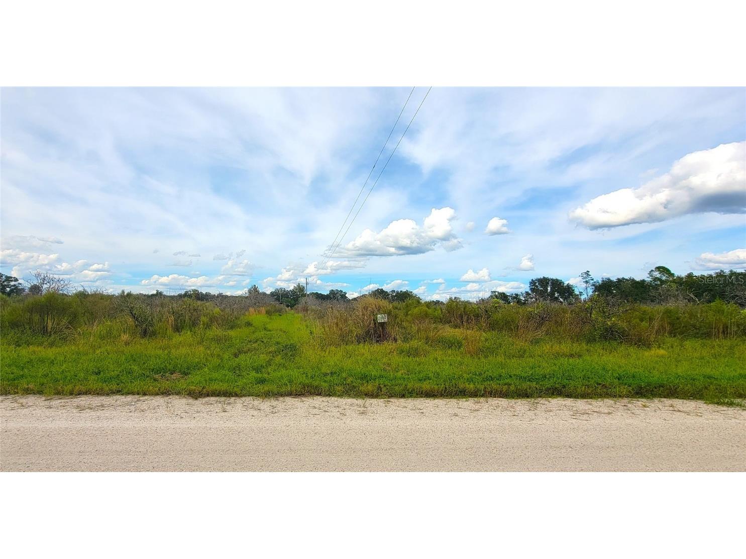 3996 John Carlton Road Zolfo Springs FL 33890 L4940389 image1