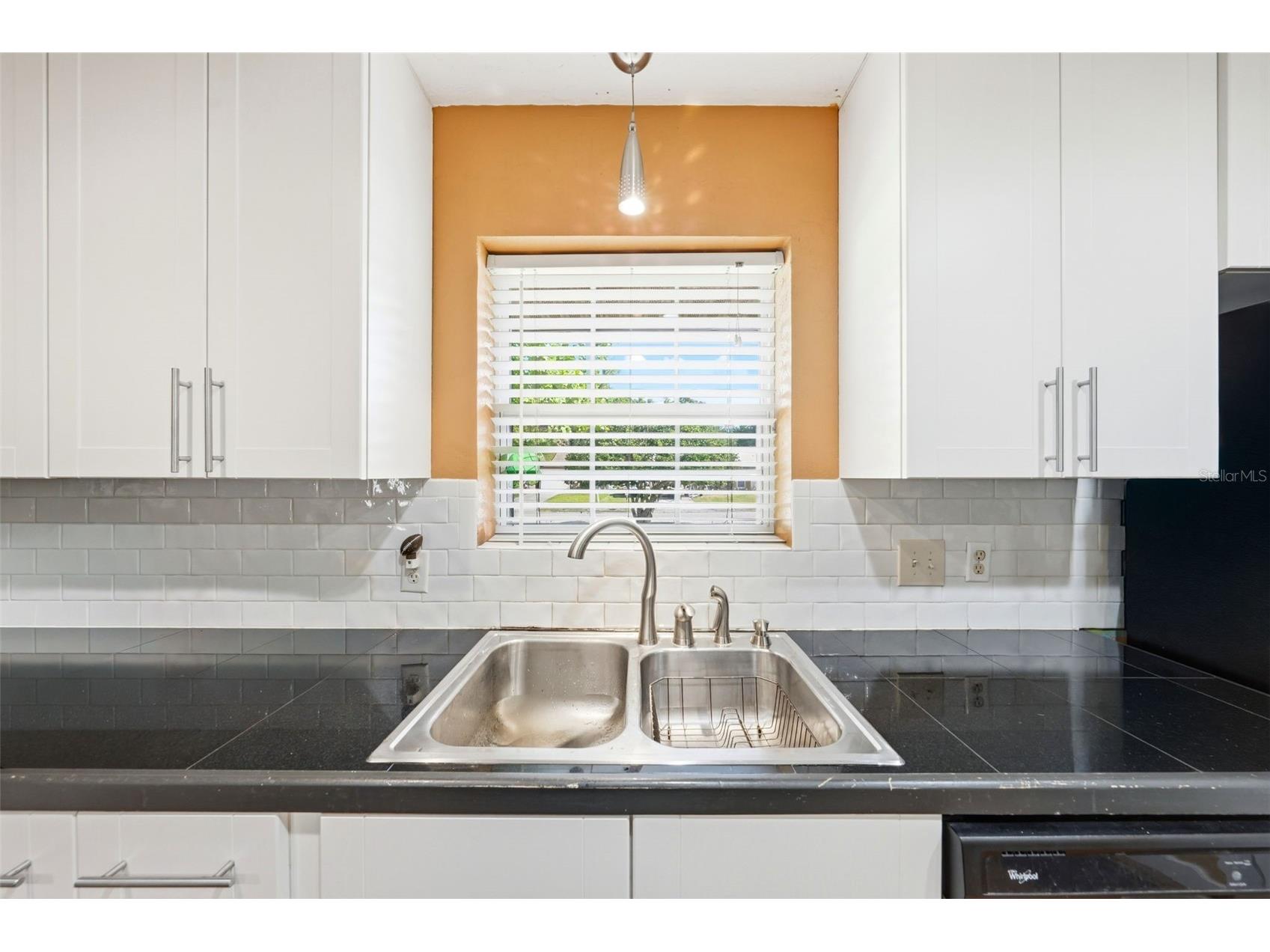 3996 Lake Eleanor Dr Mount Dora FL 32757 G5111265 image13