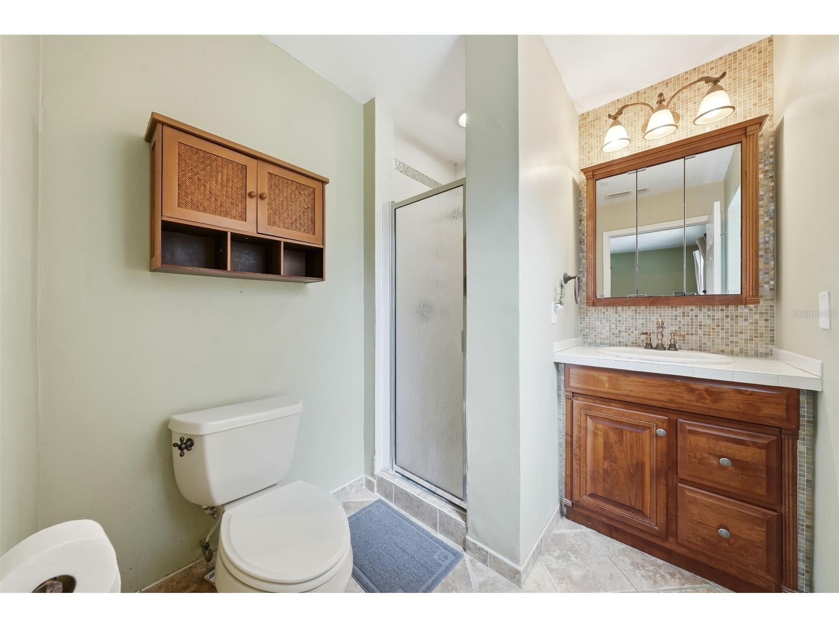 3996 Lake Eleanor Dr Mount Dora FL 32757 G5111265 image23