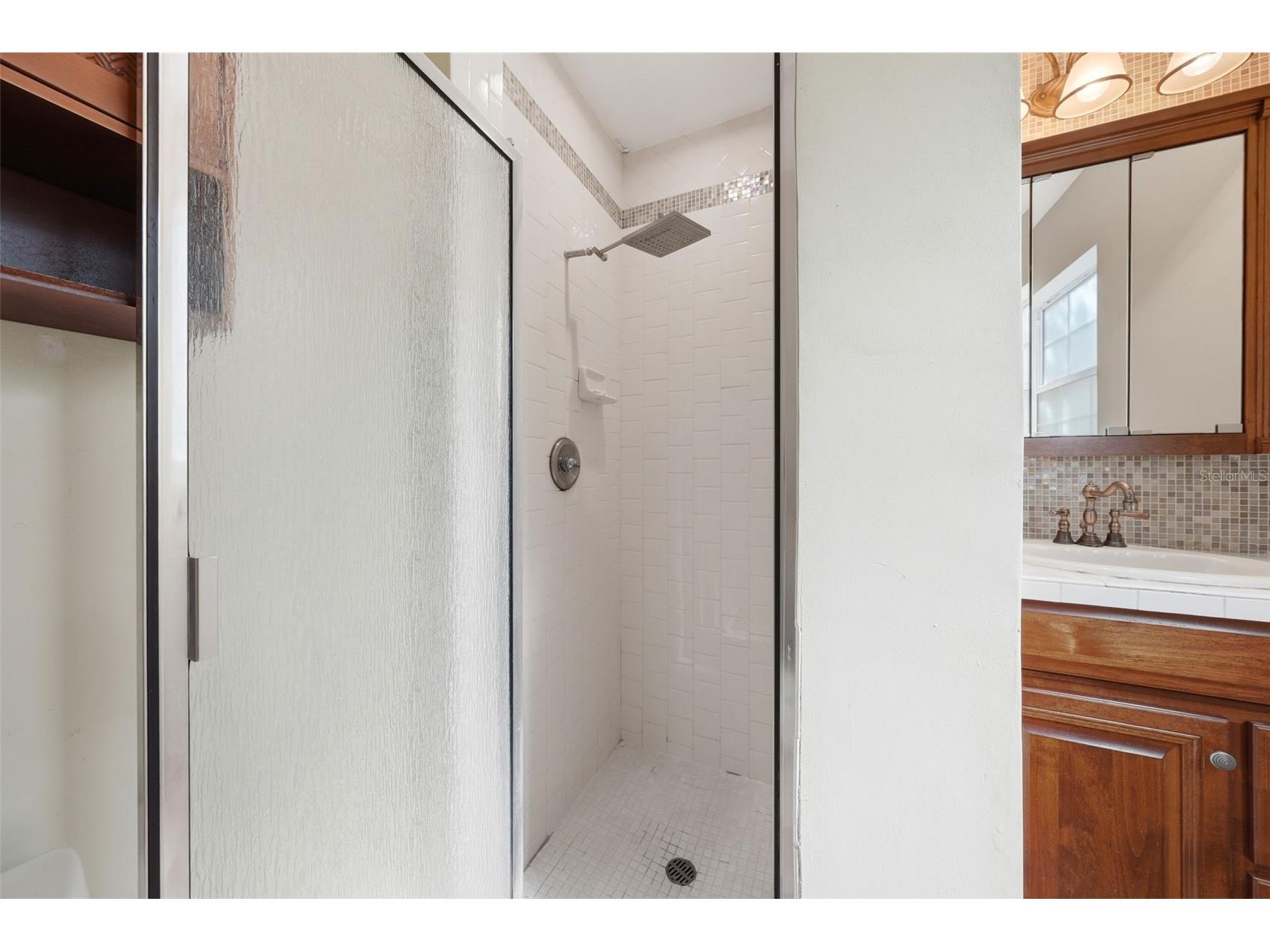 3996 Lake Eleanor Dr Mount Dora FL 32757 G5111265 image25