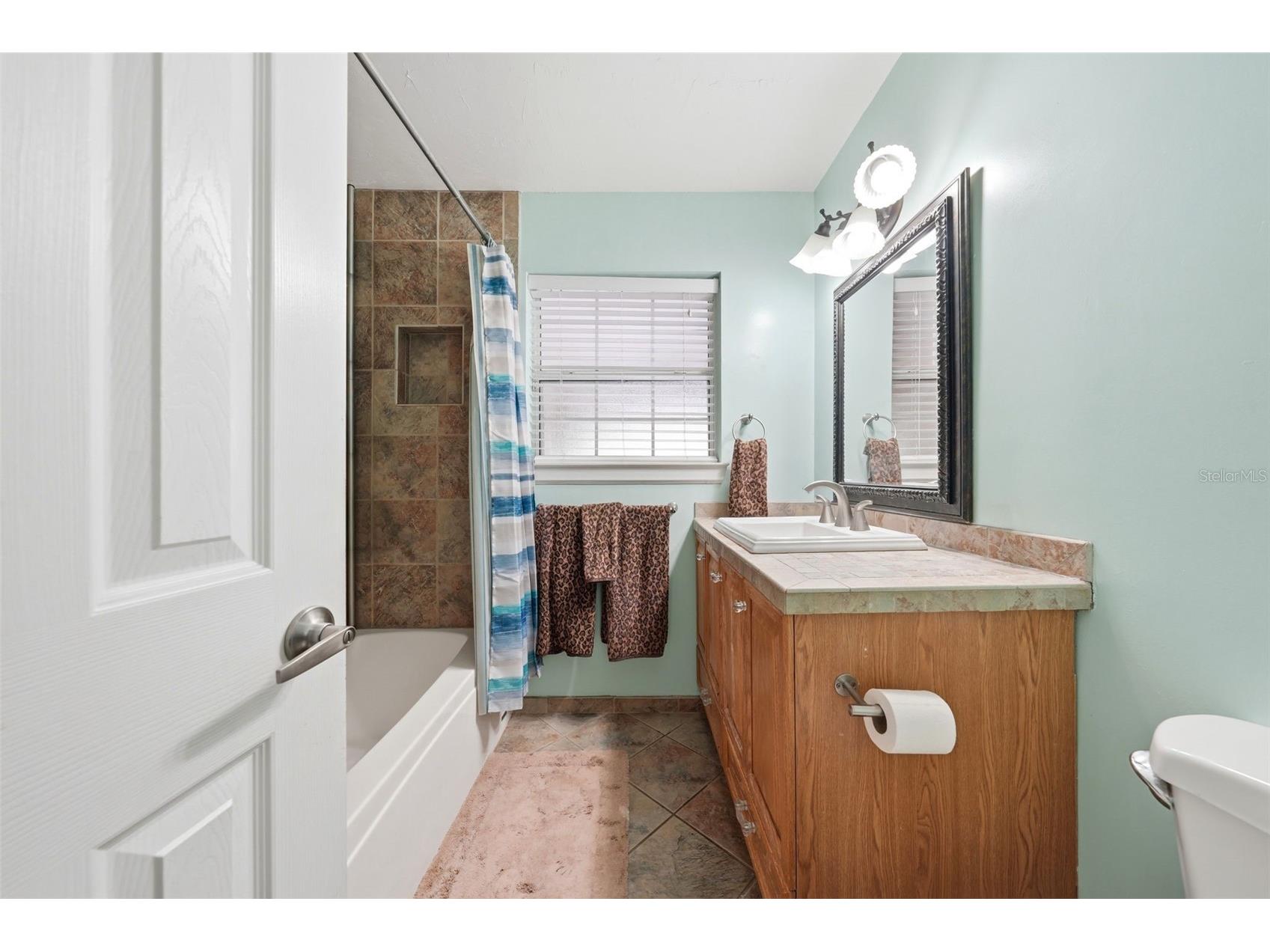 3996 Lake Eleanor Dr Mount Dora FL 32757 G5111265 image31