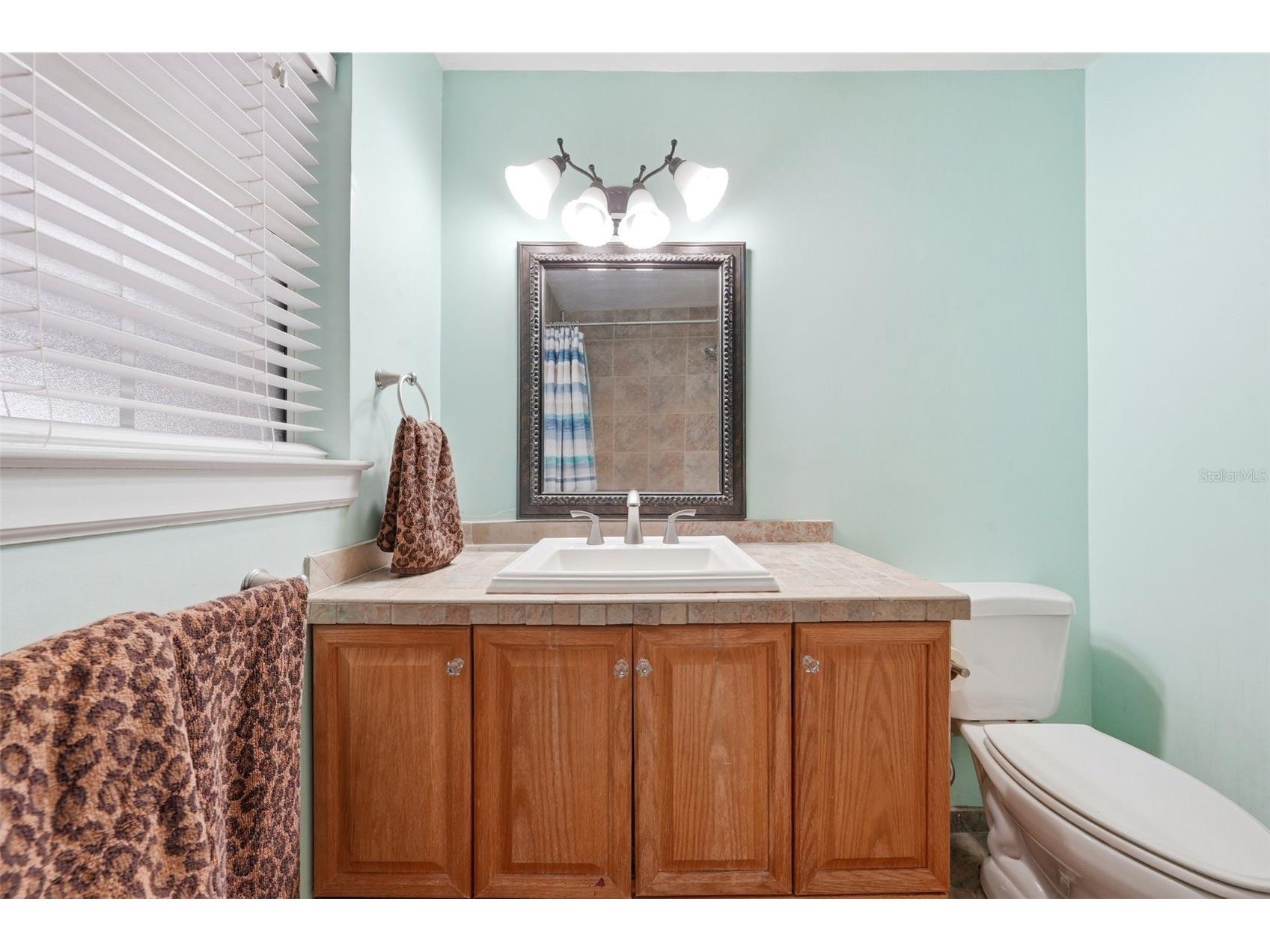3996 Lake Eleanor Dr Mount Dora FL 32757 G5111265 image32