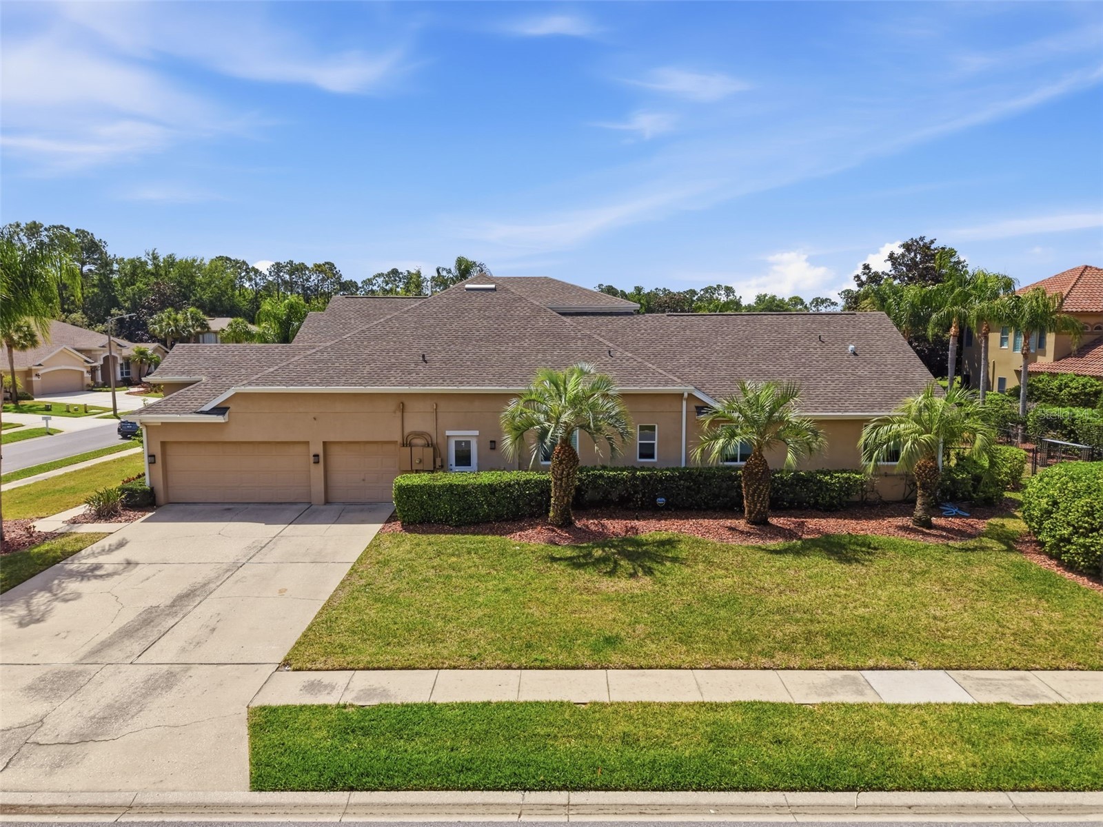 3997 Mimosa Place Palm Harbor FL 34685 TB8491766 image100