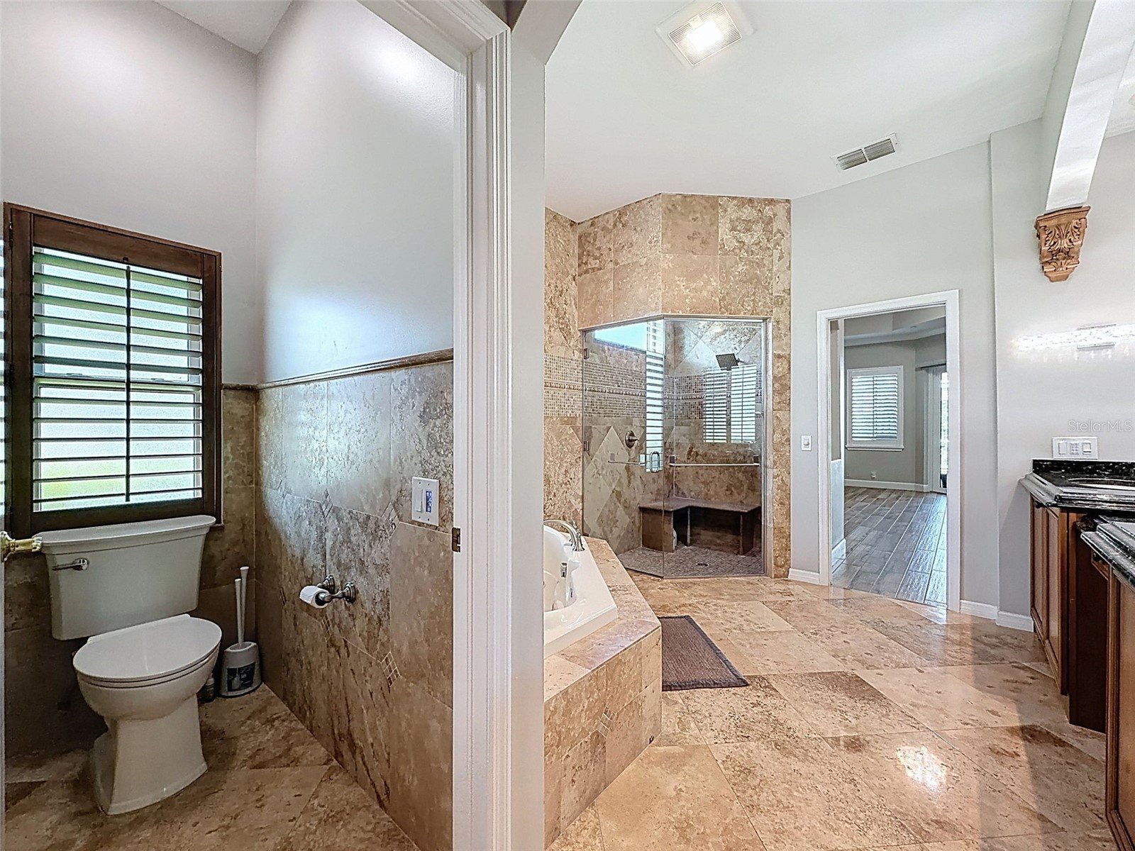 3997 Mimosa Place Palm Harbor FL 34685 TB8491766 image44