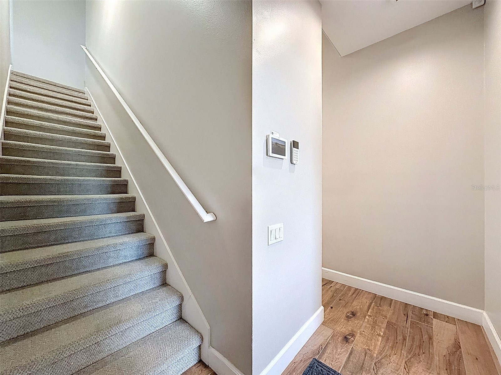 3997 Mimosa Place Palm Harbor FL 34685 TB8491766 image49