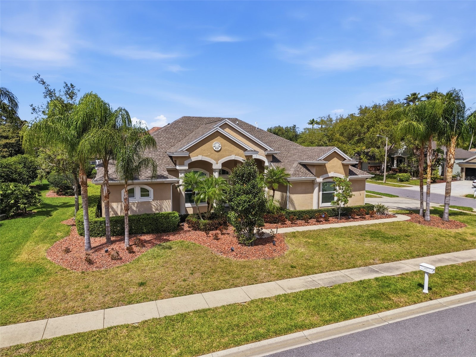 3997 Mimosa Place Palm Harbor FL 34685 TB8491766 image5