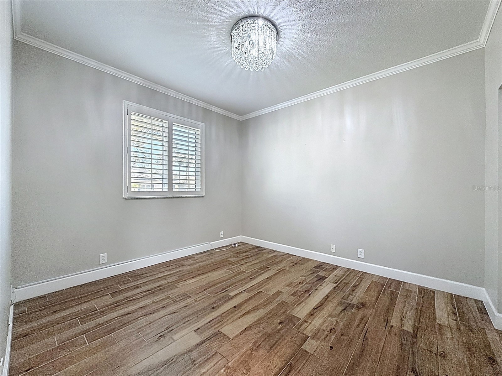 3997 Mimosa Place Palm Harbor FL 34685 TB8491766 image59