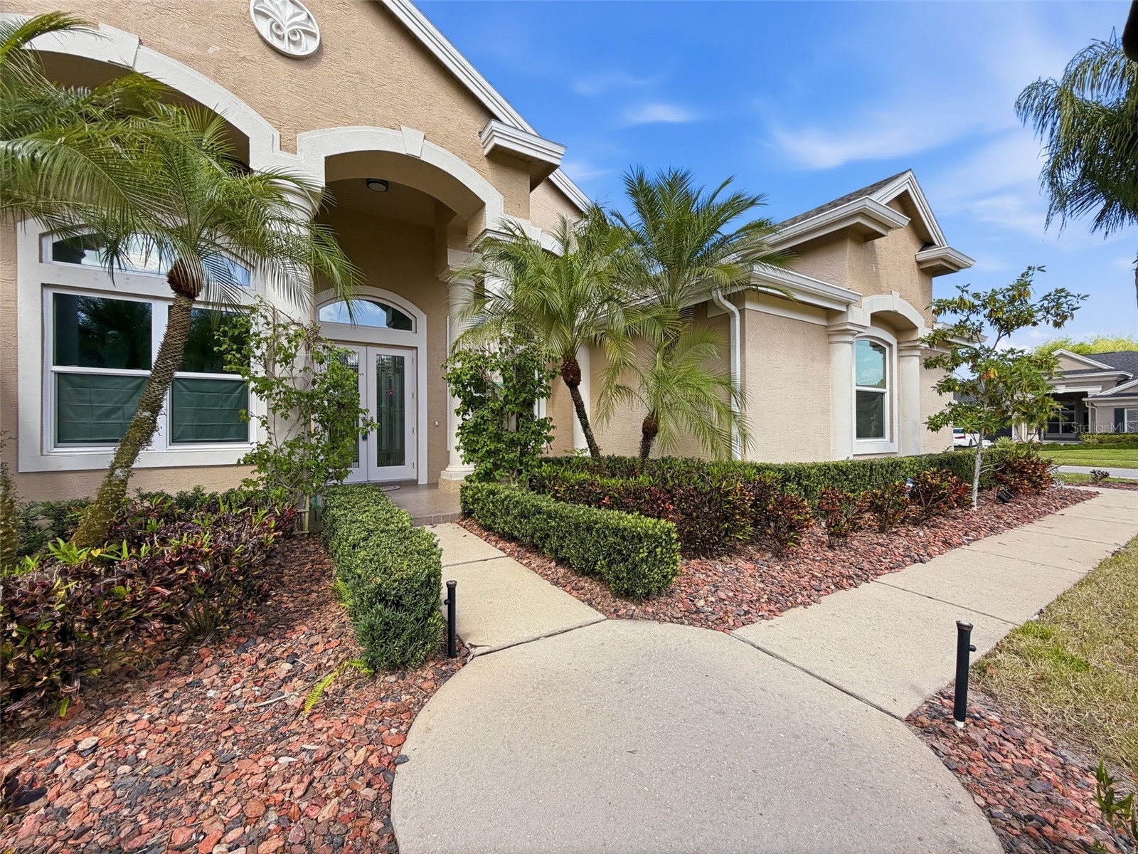 3997 Mimosa Place Palm Harbor FL 34685 TB8491766 image6