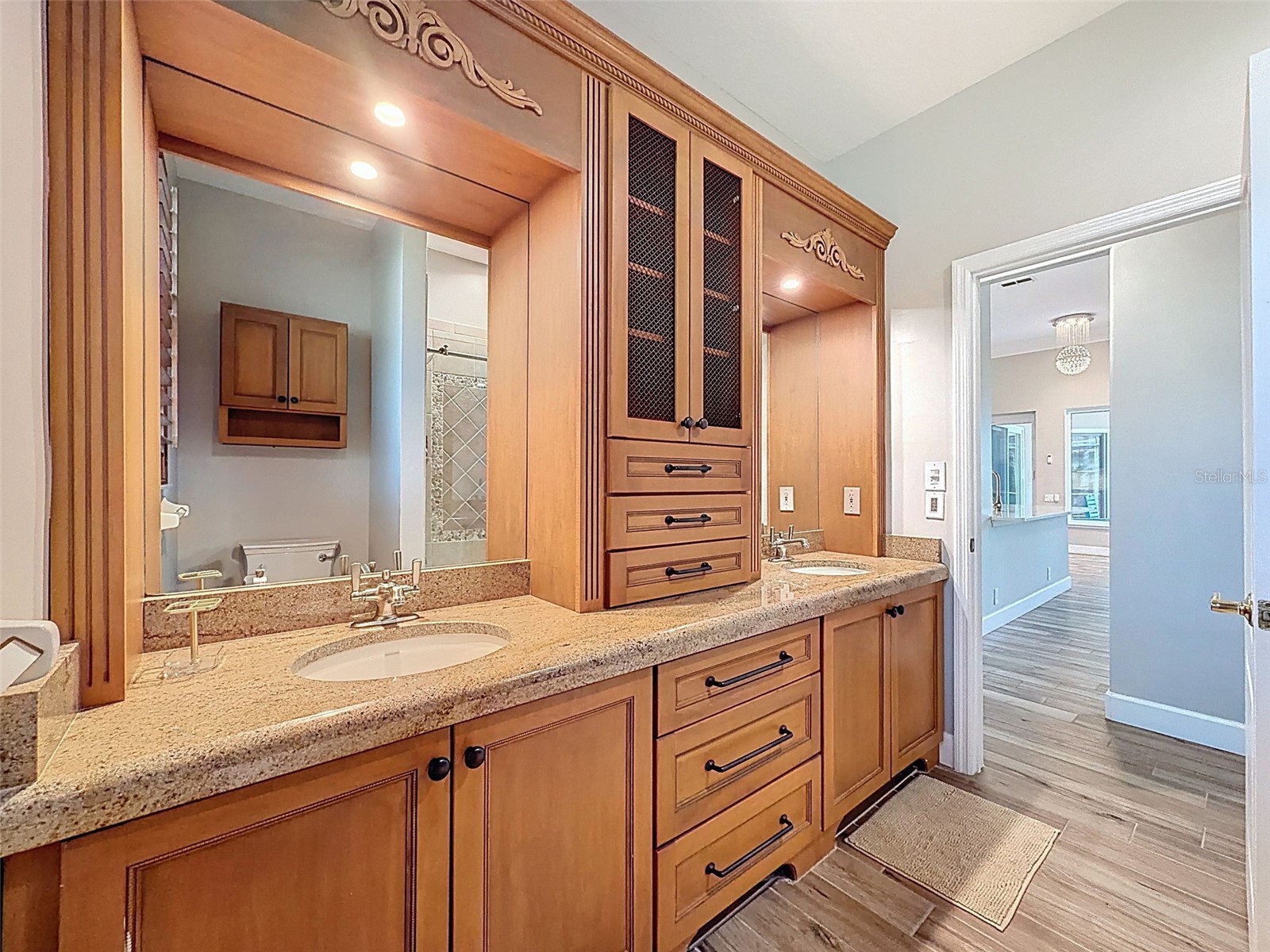 3997 Mimosa Place Palm Harbor FL 34685 TB8491766 image63