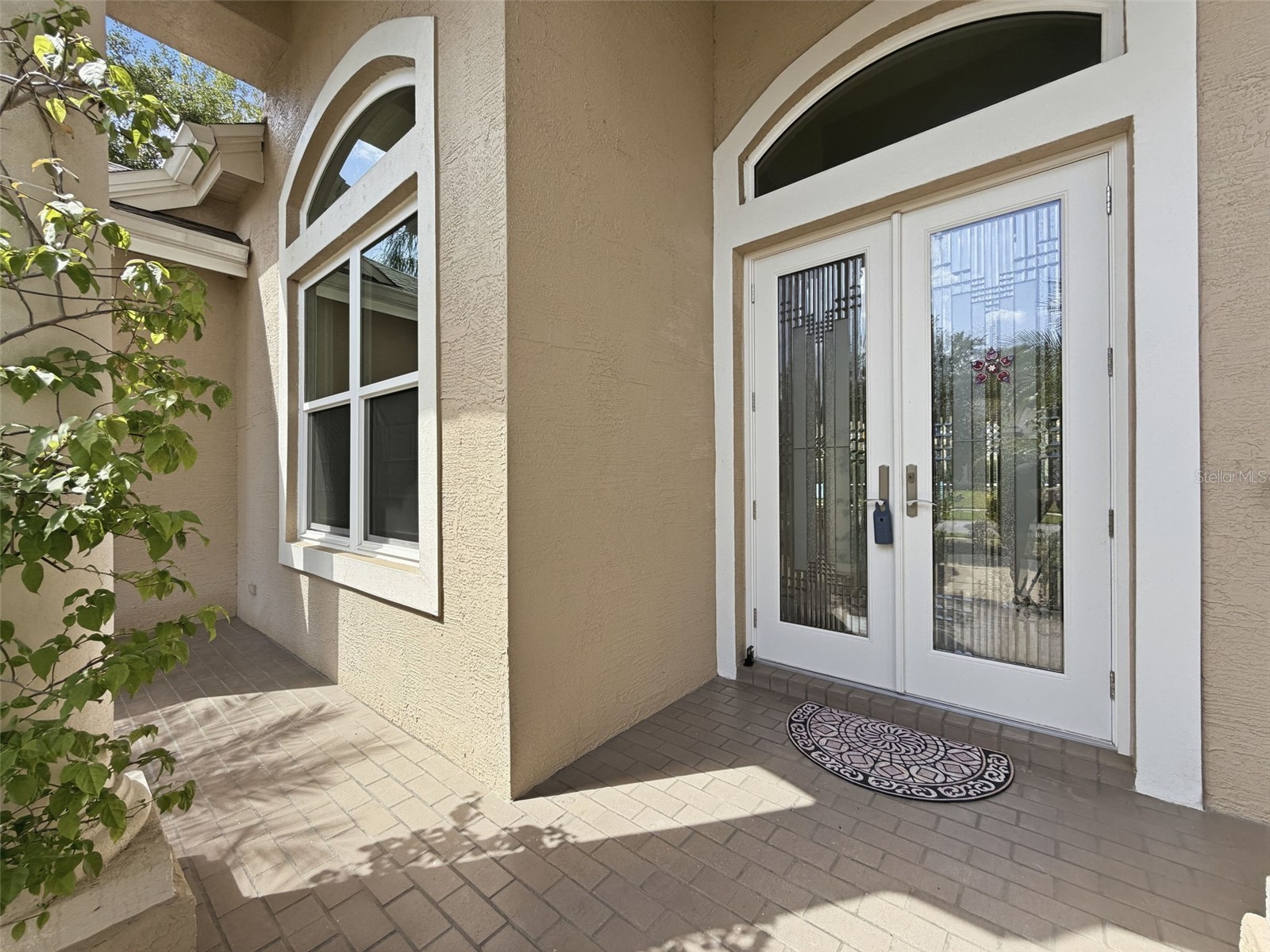 3997 Mimosa Place Palm Harbor FL 34685 TB8491766 image7