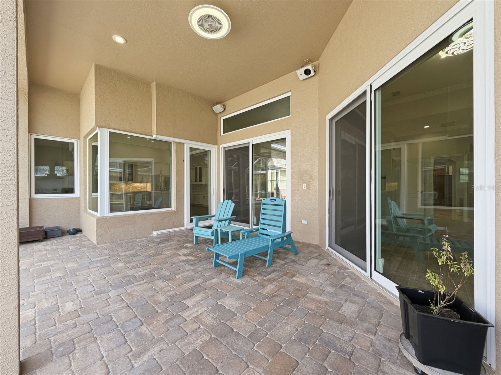 3997 Mimosa Place Palm Harbor FL 34685 TB8491766 image79
