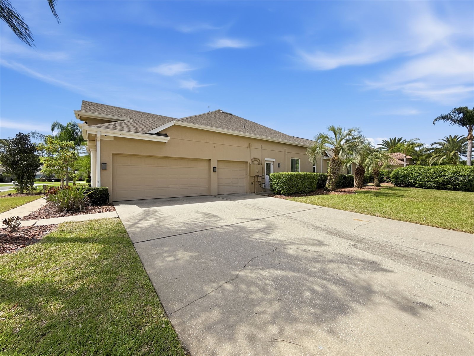 3997 Mimosa Place Palm Harbor FL 34685 TB8491766 image89