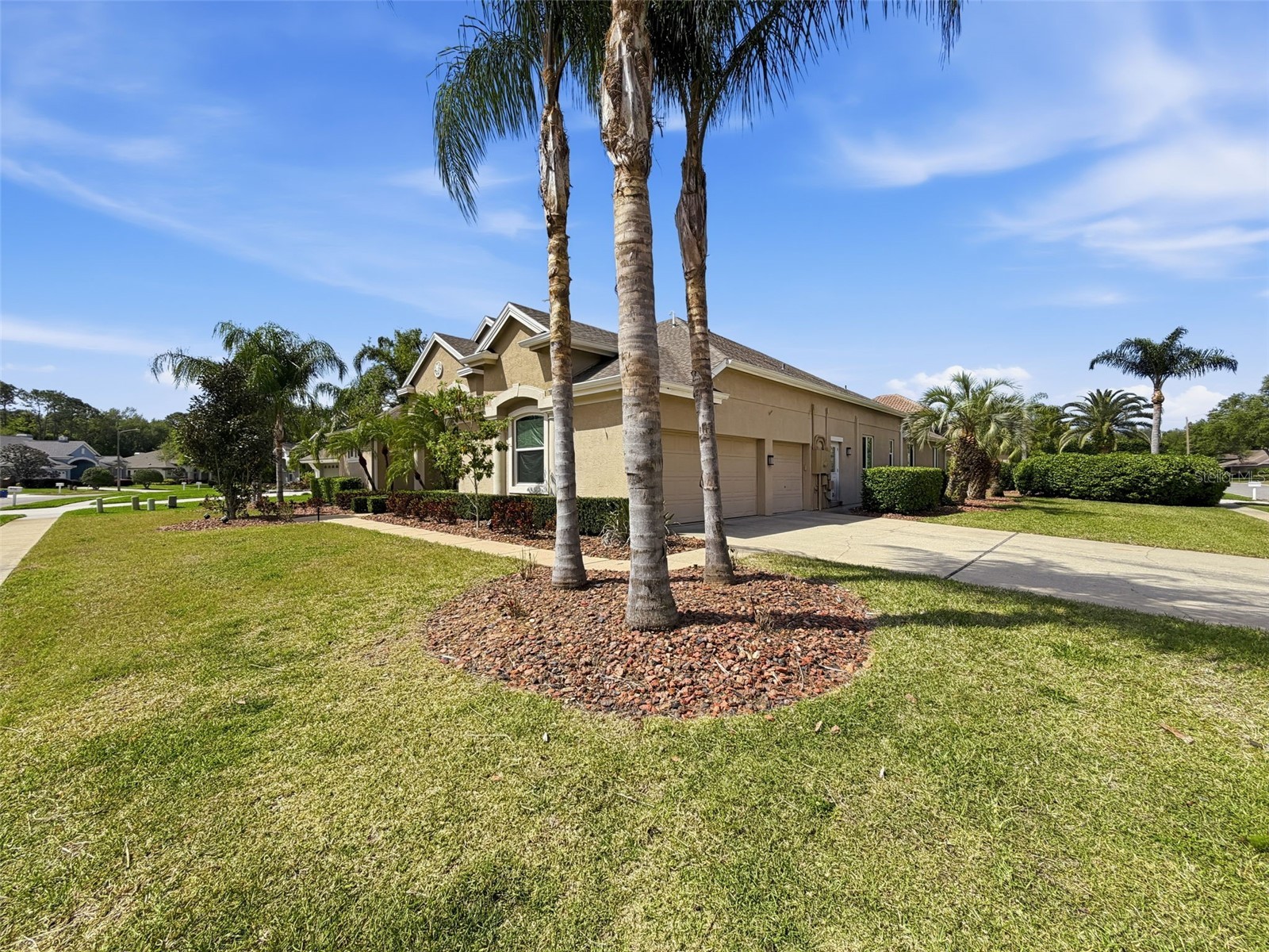3997 Mimosa Place Palm Harbor FL 34685 TB8491766 image90
