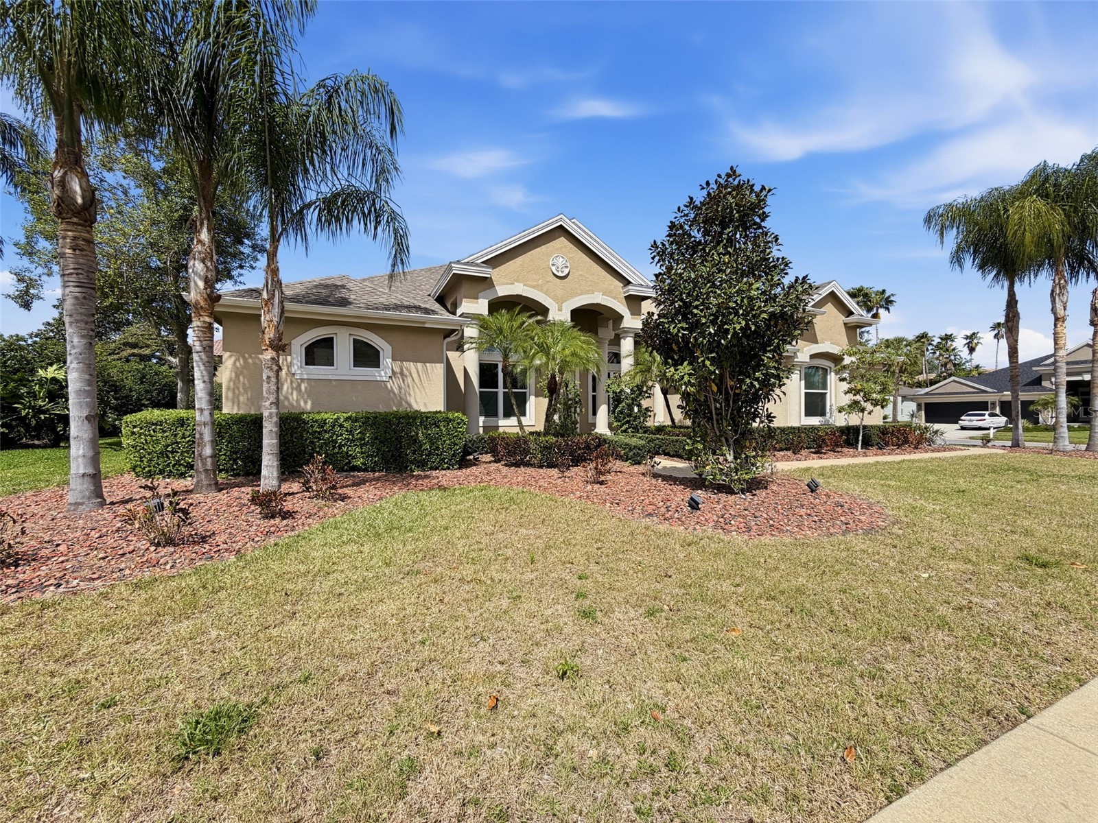 3997 Mimosa Place Palm Harbor FL 34685 TB8491766 image92