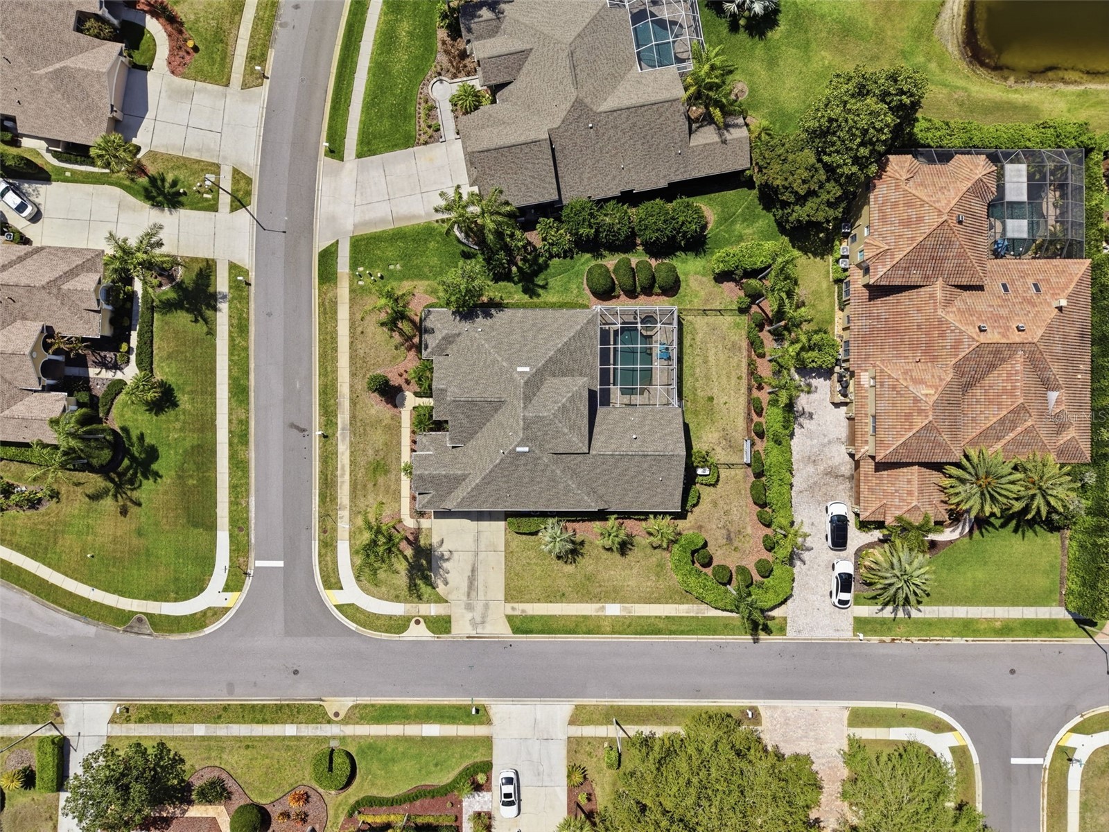 3997 Mimosa Place Palm Harbor FL 34685 TB8491766 image94