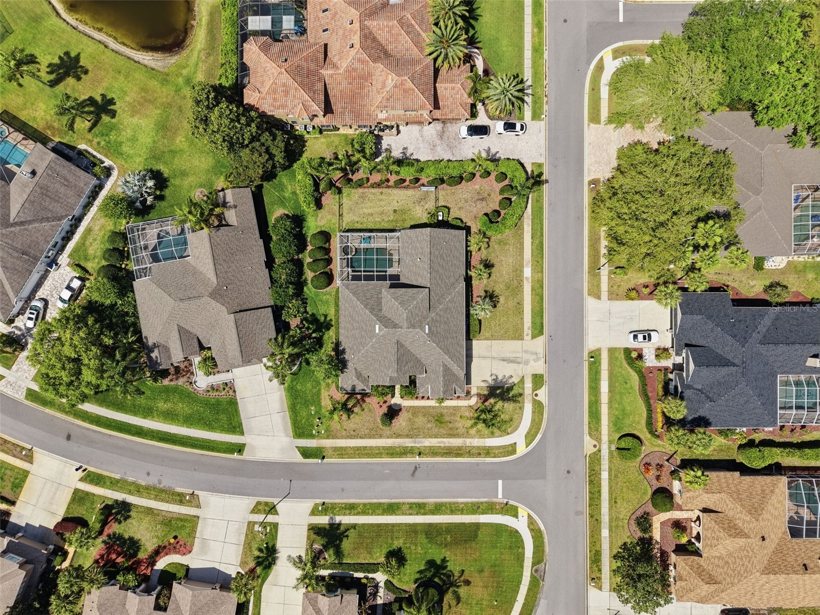 3997 Mimosa Place Palm Harbor FL 34685 TB8491766 image96