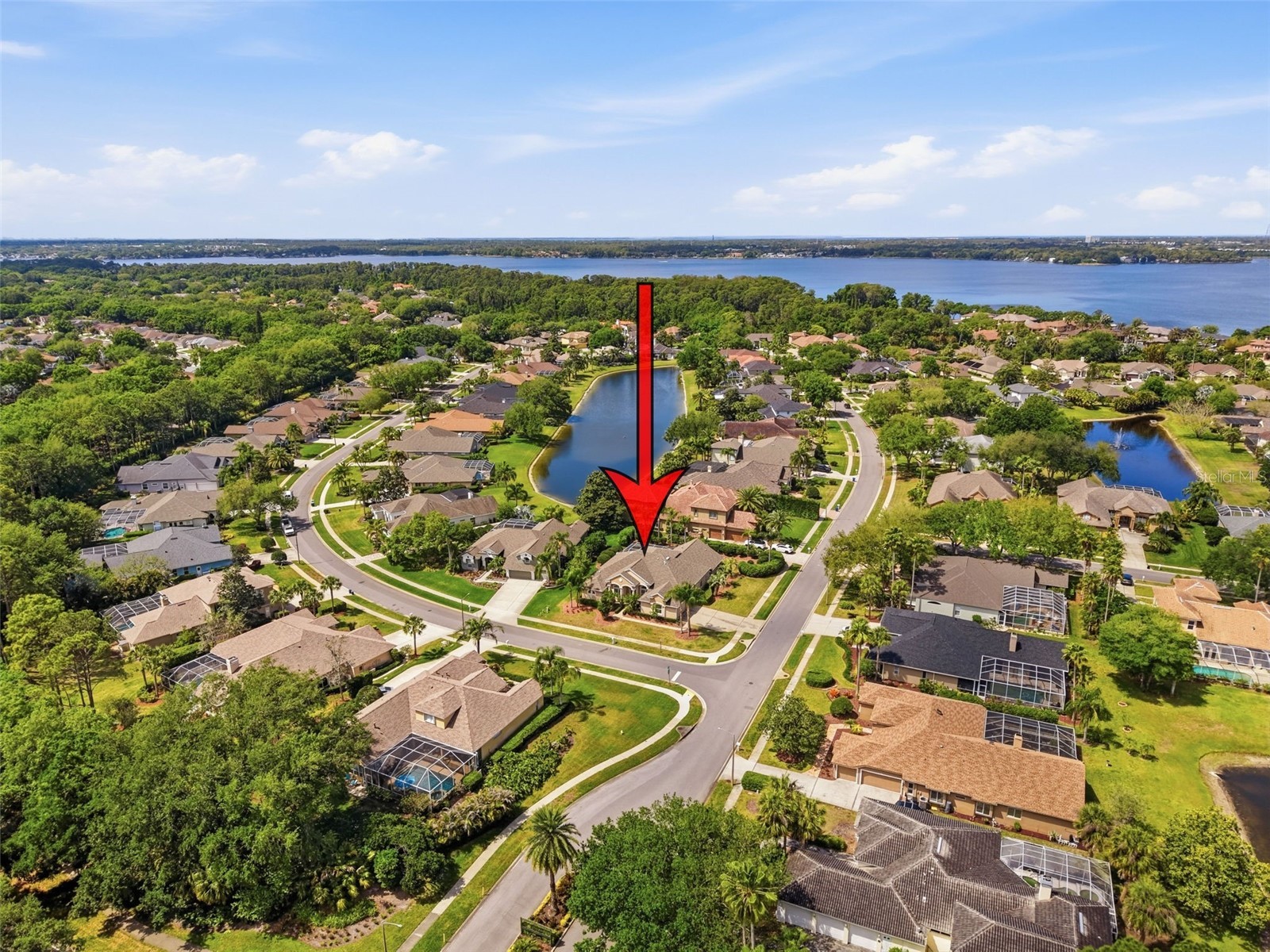 3997 Mimosa Place Palm Harbor FL 34685 TB8491766 image97