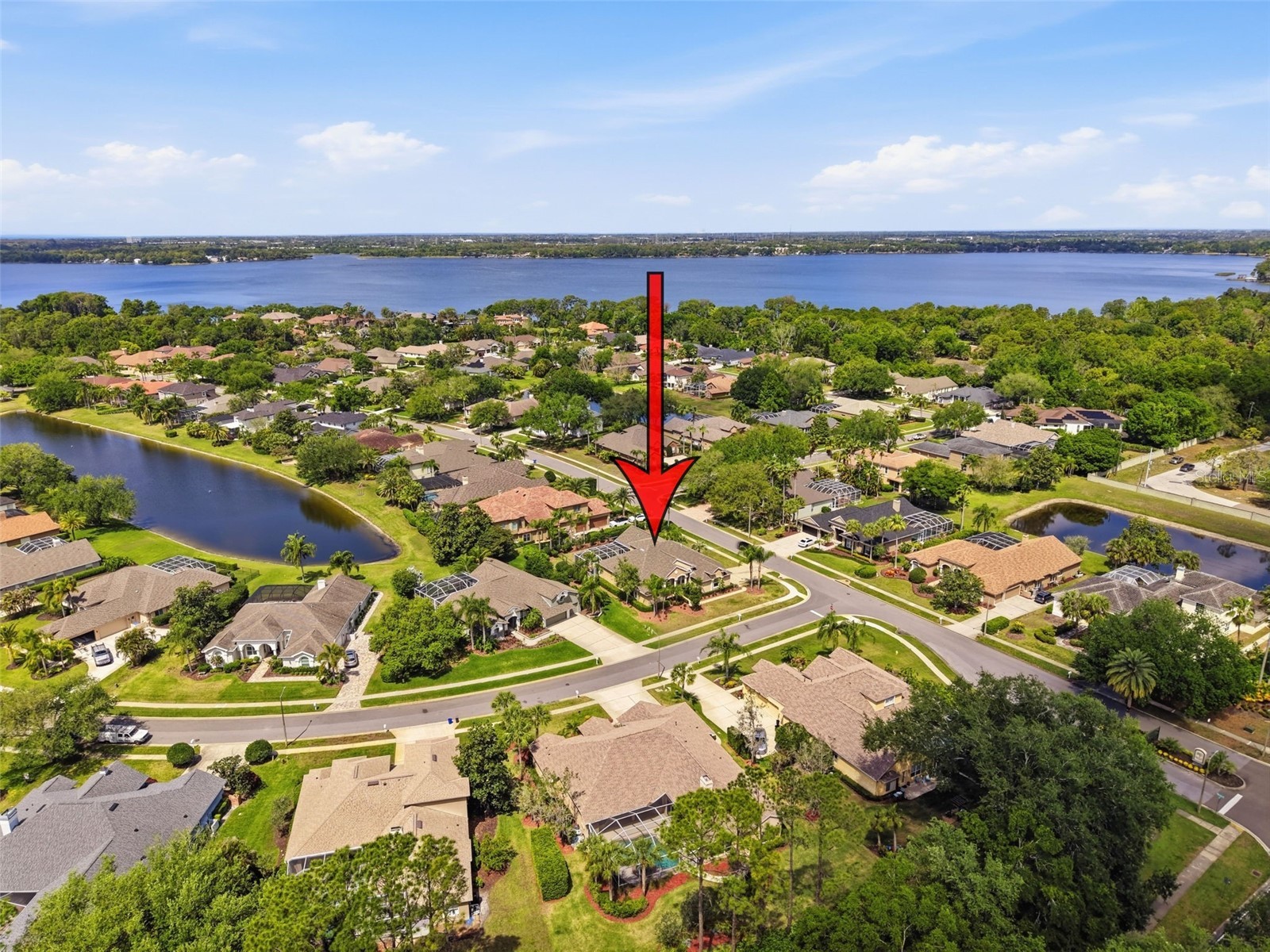 3997 Mimosa Place Palm Harbor FL 34685 TB8491766 image98