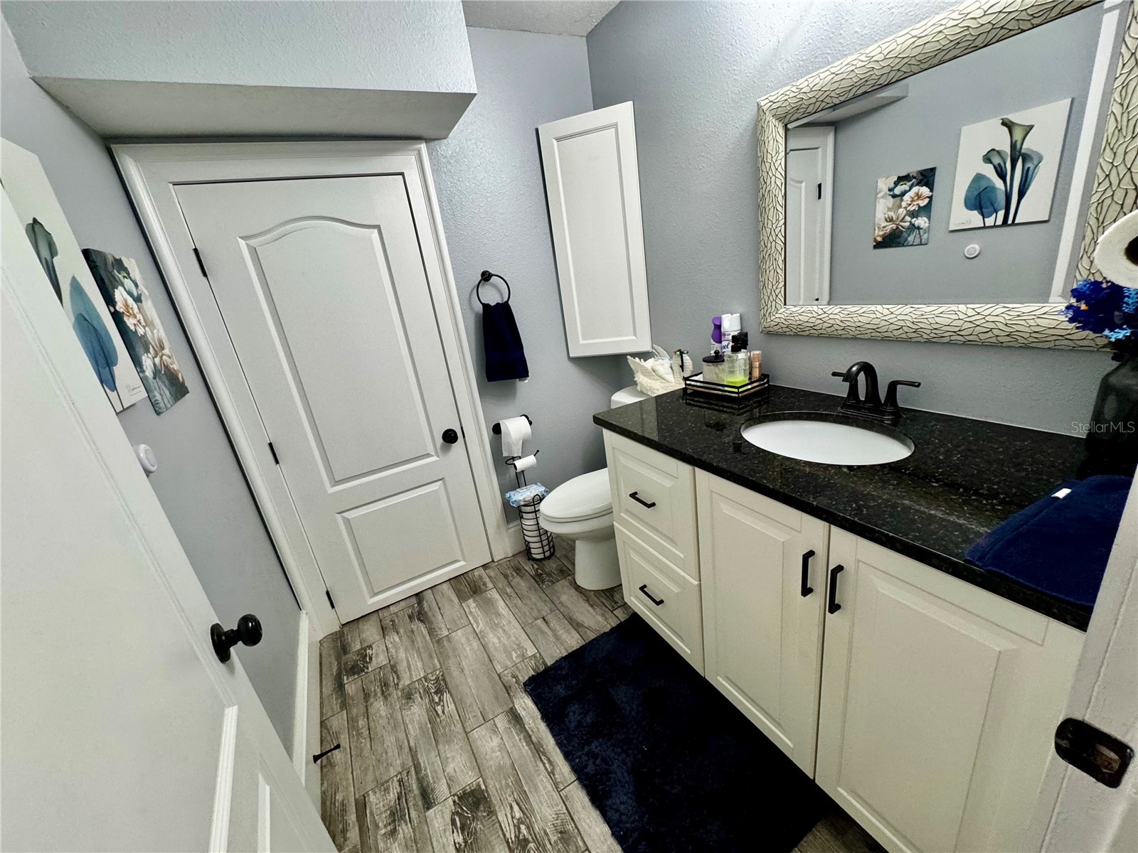 3998 Pemberly Pines Circle Saint Cloud FL 34769 S5135880 image11