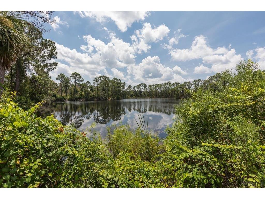 4 Arena Lake Drive Palm Coast FL 32137 FC313438 image52