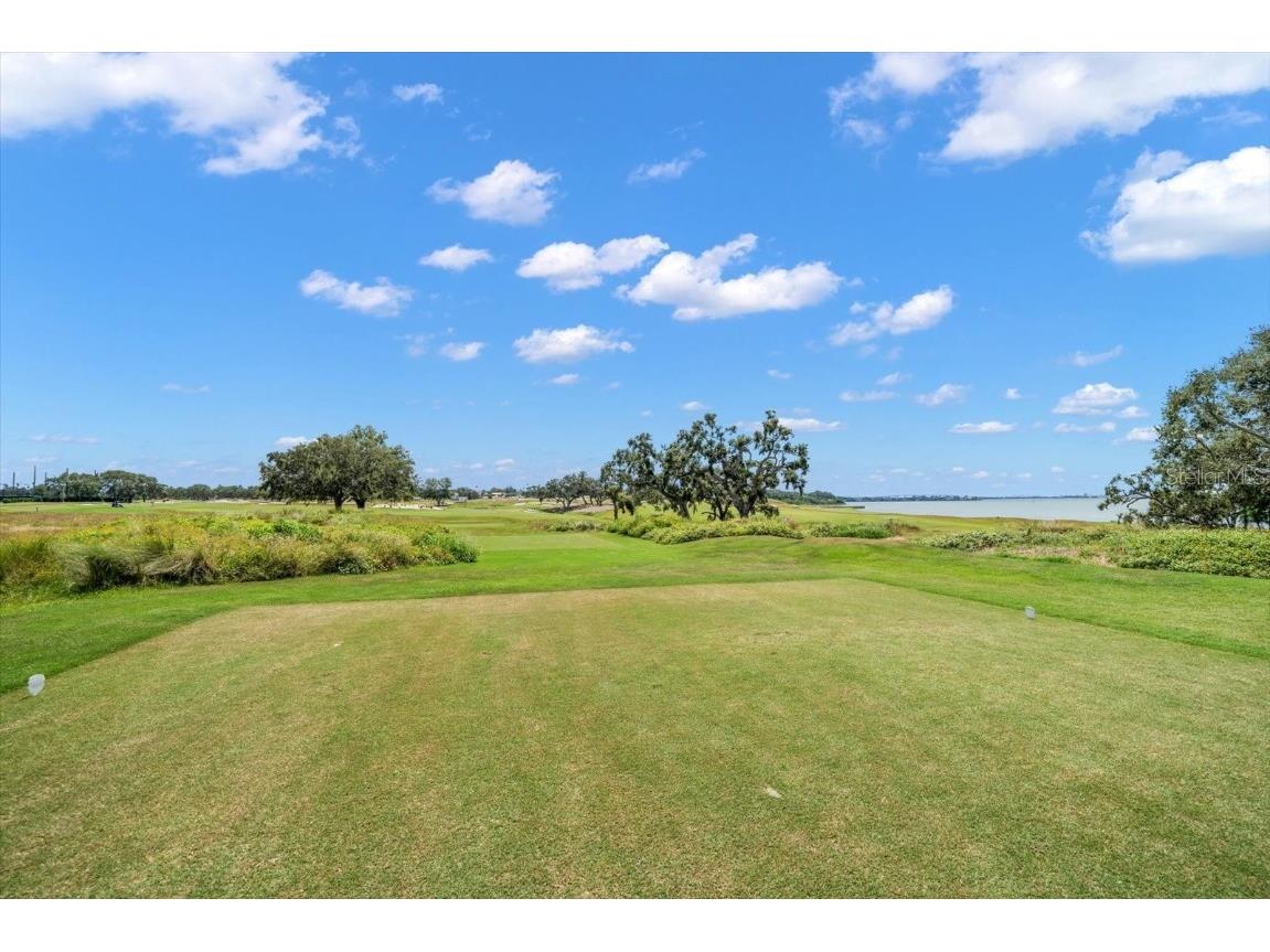 4 Belleview Boulevard #106 Belleair FL 33756 TB8446965 image50