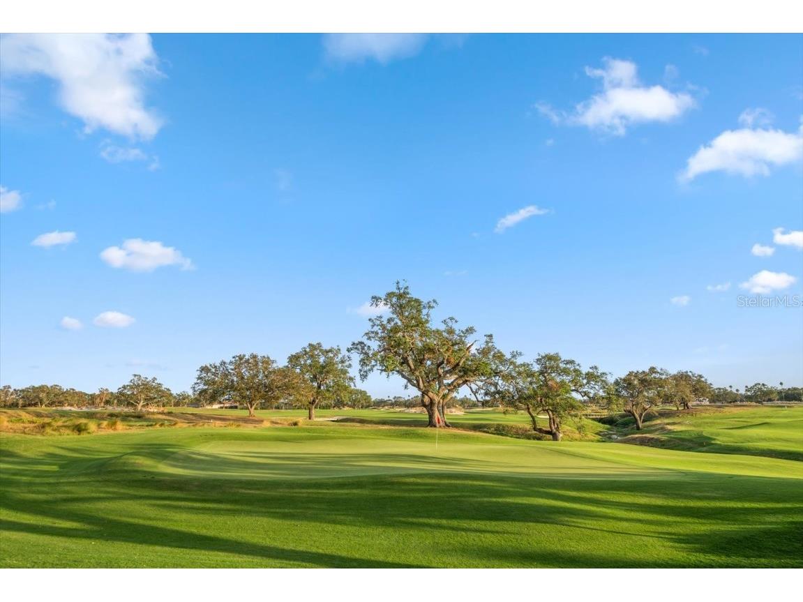 4 Belleview Boulevard #106 Belleair FL 33756 TB8446965 image63