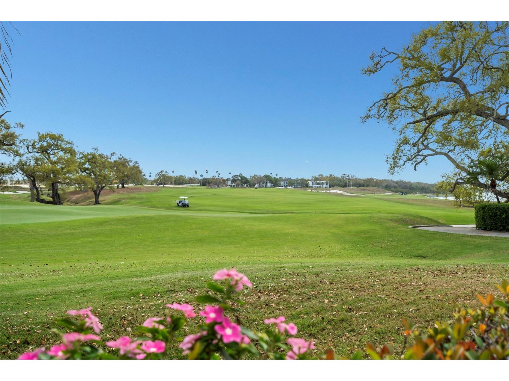 4 Belleview Boulevard #108 Belleair FL 33756 TB8484003 image39