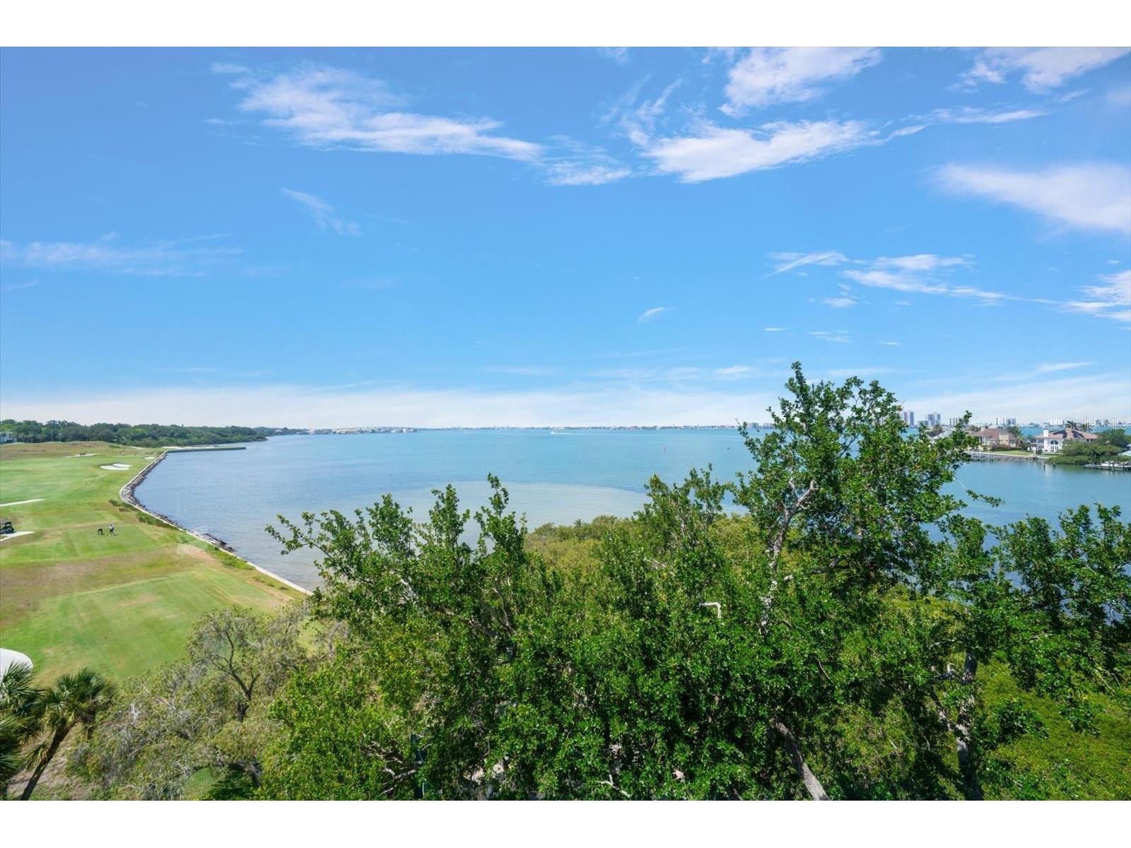 4 Belleview Boulevard #503 Belleair FL 33756 TB8508282 image19