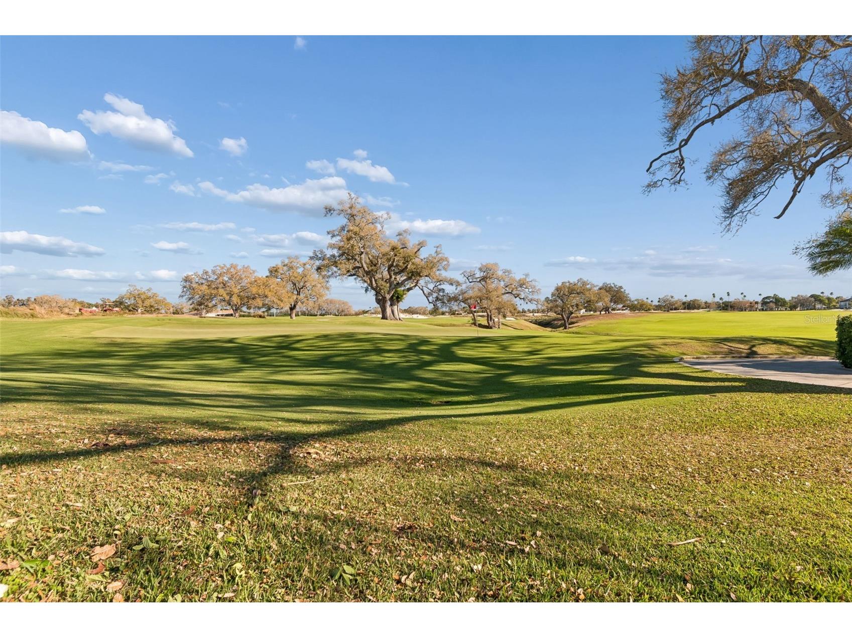 4 Belleview Boulevard #701 Belleair FL 33756 TB8481027 image42