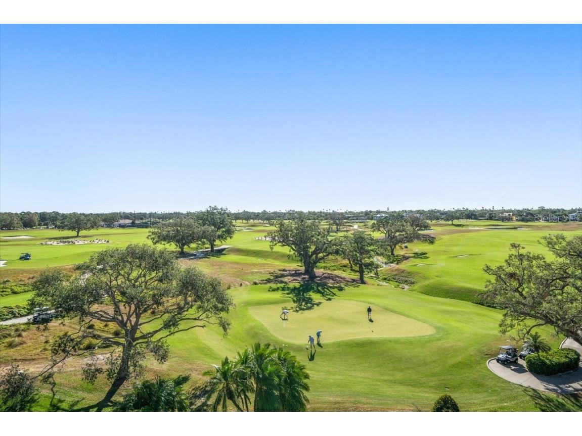 4 Belleview Boulevard #802 Belleair FL 33756 TB8381621 image69