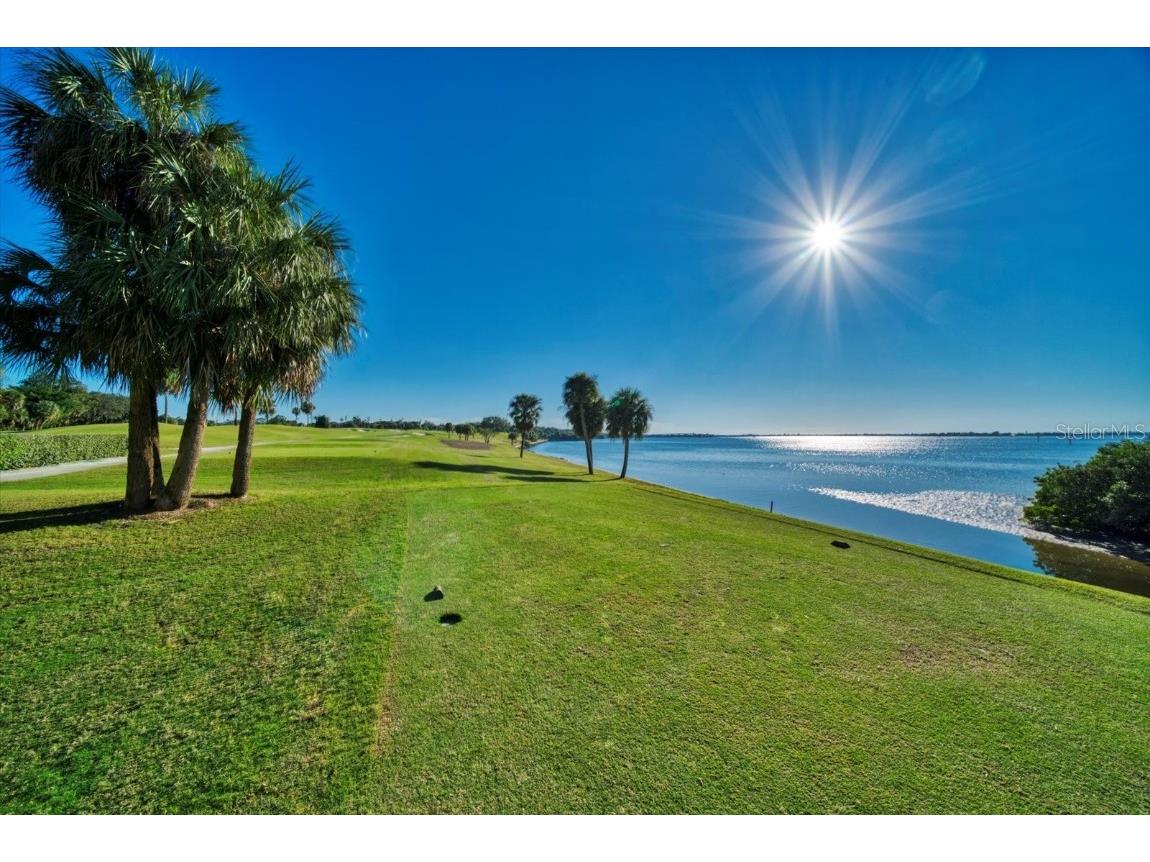 4 Belleview Boulevard #802 Belleair FL 33756 TB8381621 image72