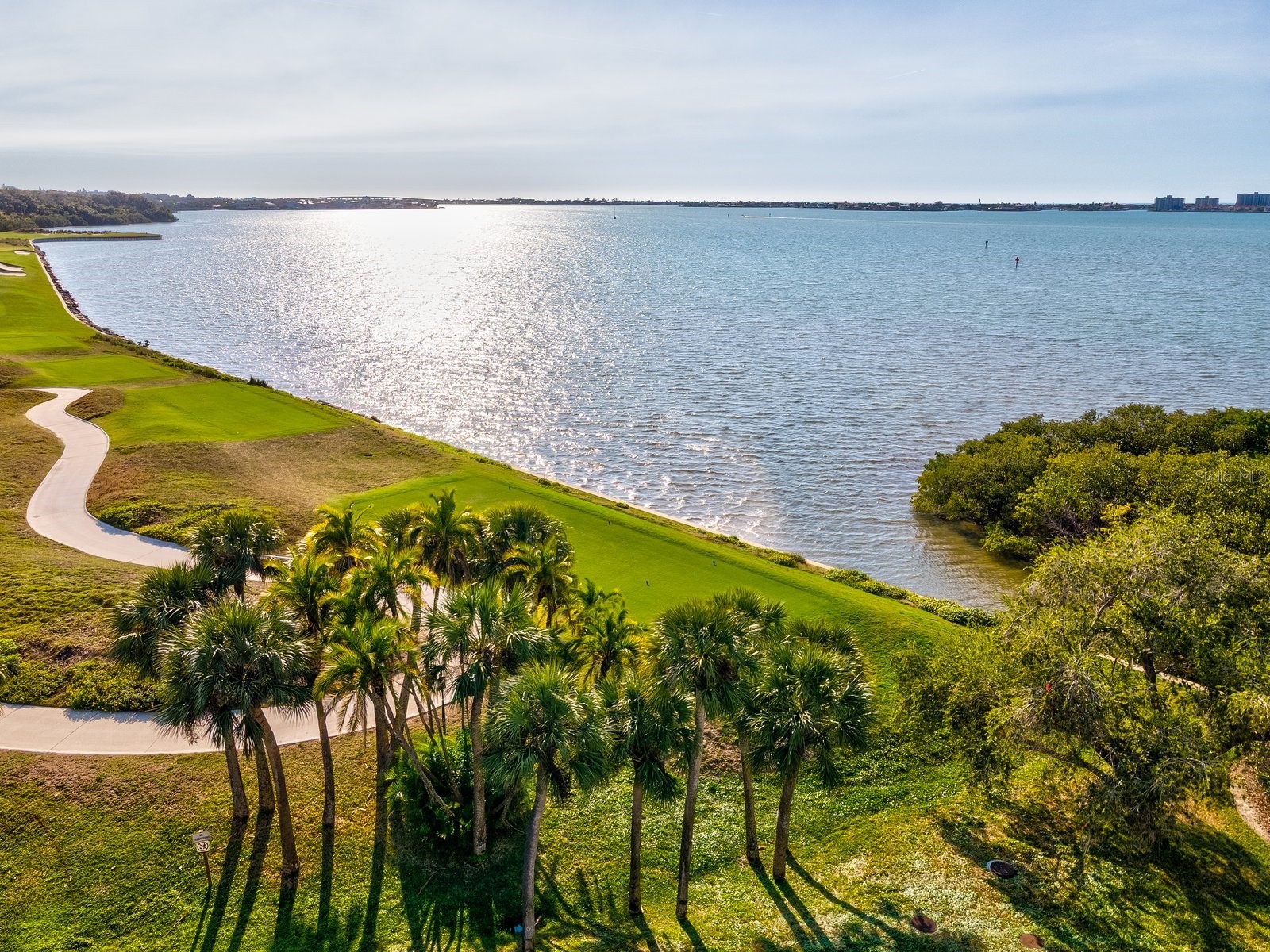 4 Belleview Boulevard #804 Belleair FL 33756 TB8466067 image30