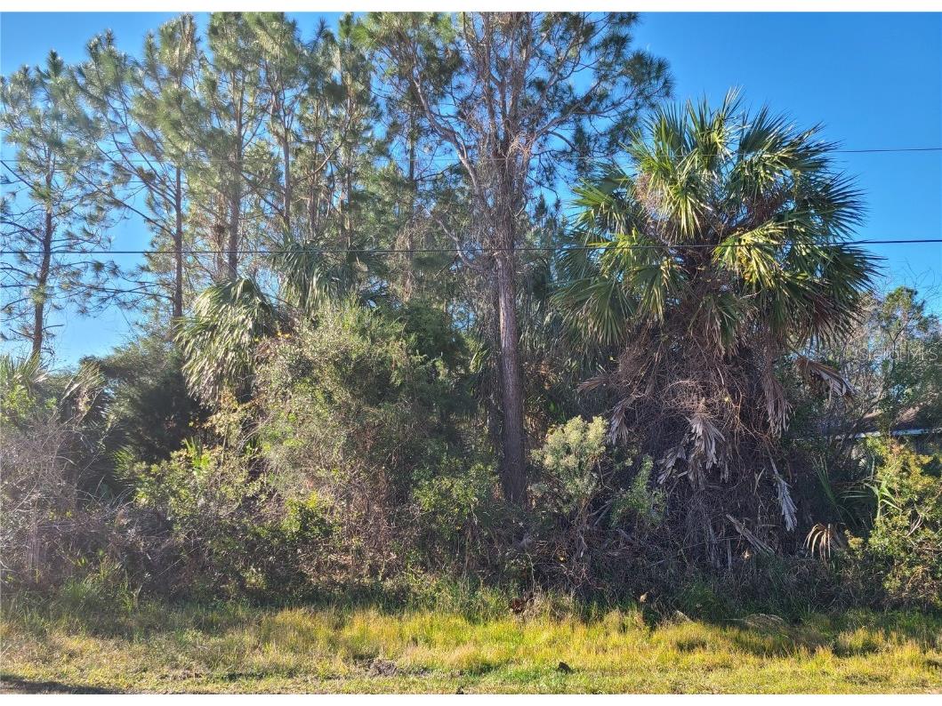 4 Bird Tree Place Palm Coast FL 32137 FC288512 image1