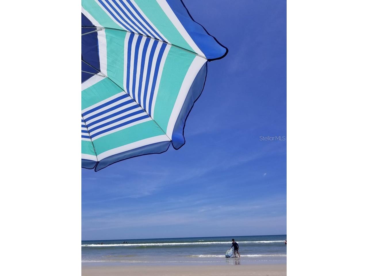 4 Birdie Drive New Smyrna Beach FL 32168 NS1088380 image34