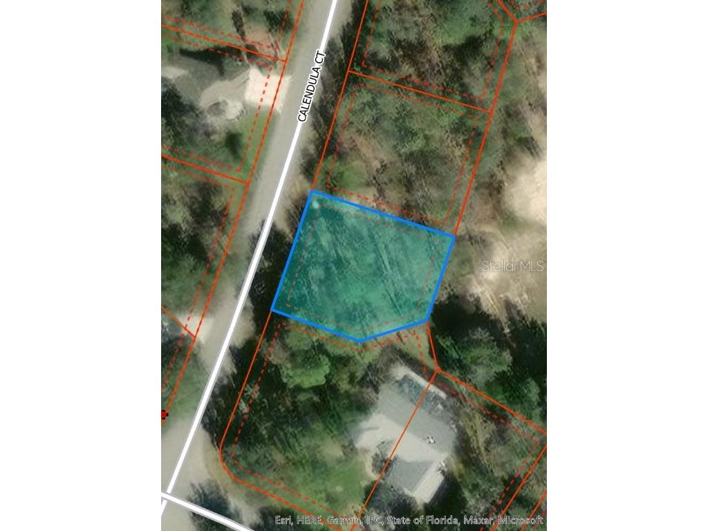 4 Calendula Court Homosassa FL 34446 W7861555 image1