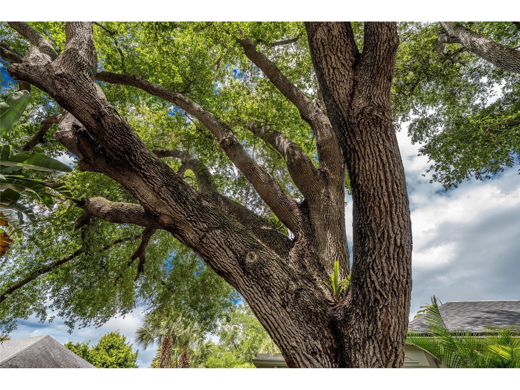 4 Curacao Circle #40 Englewood FL 34223 D6146958 image35
