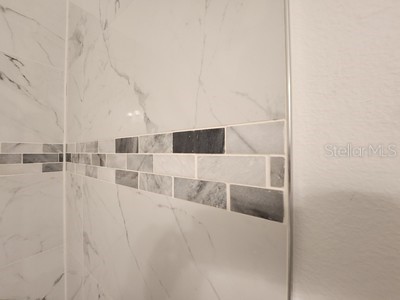 4 Dogwood Court Ocala FL 34472 OM714877 image51