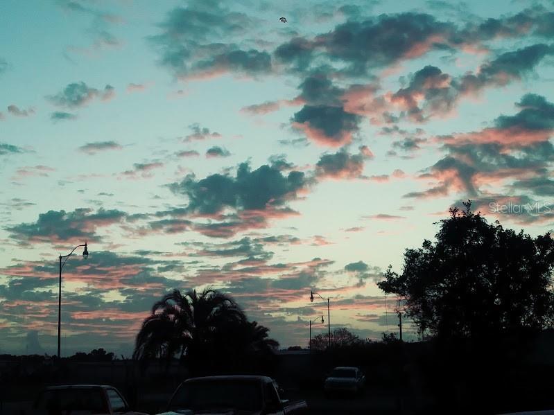 4 Dogwood Court Ocala FL 34472 OM714877 image56