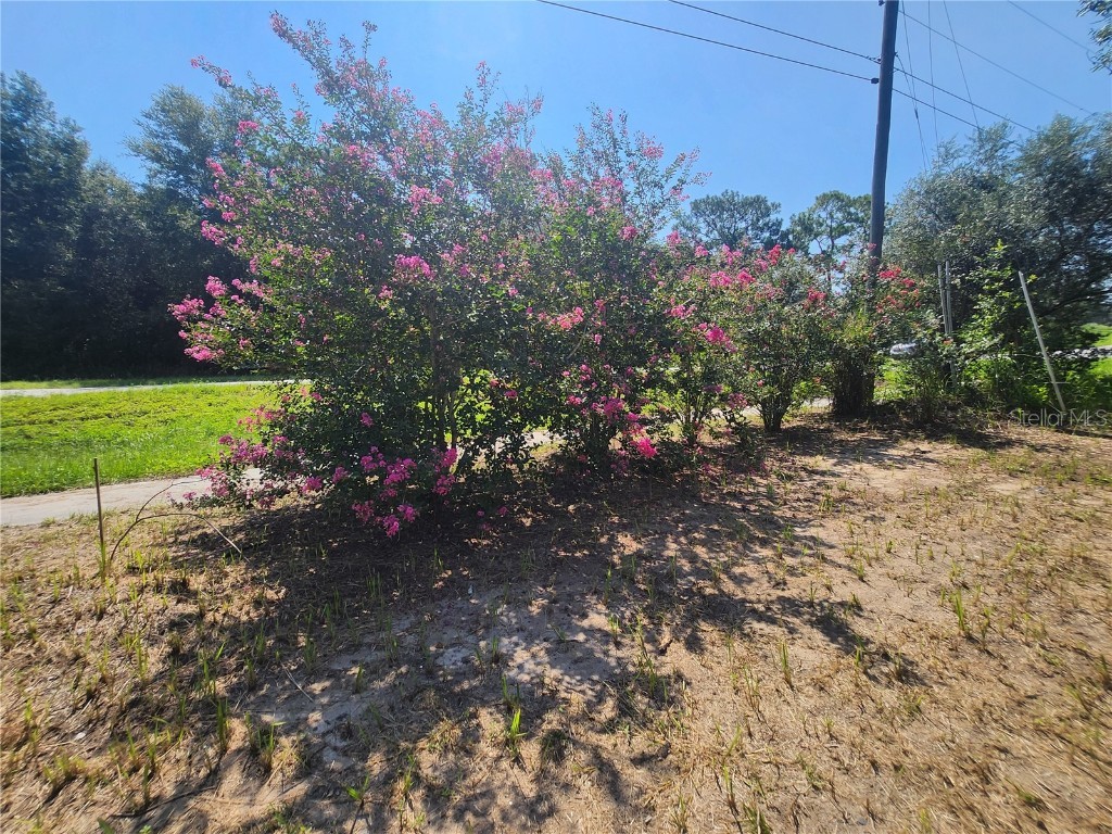 4 Dogwood Court Ocala FL 34472 OM714877 image8