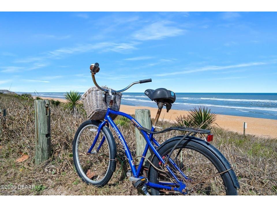 4 Dolphin Avenue Ormond Beach FL 32176 FC316791 image45