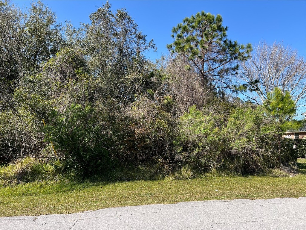 4 Frenora Lane Palm Coast FL 32137 T3507086 image1