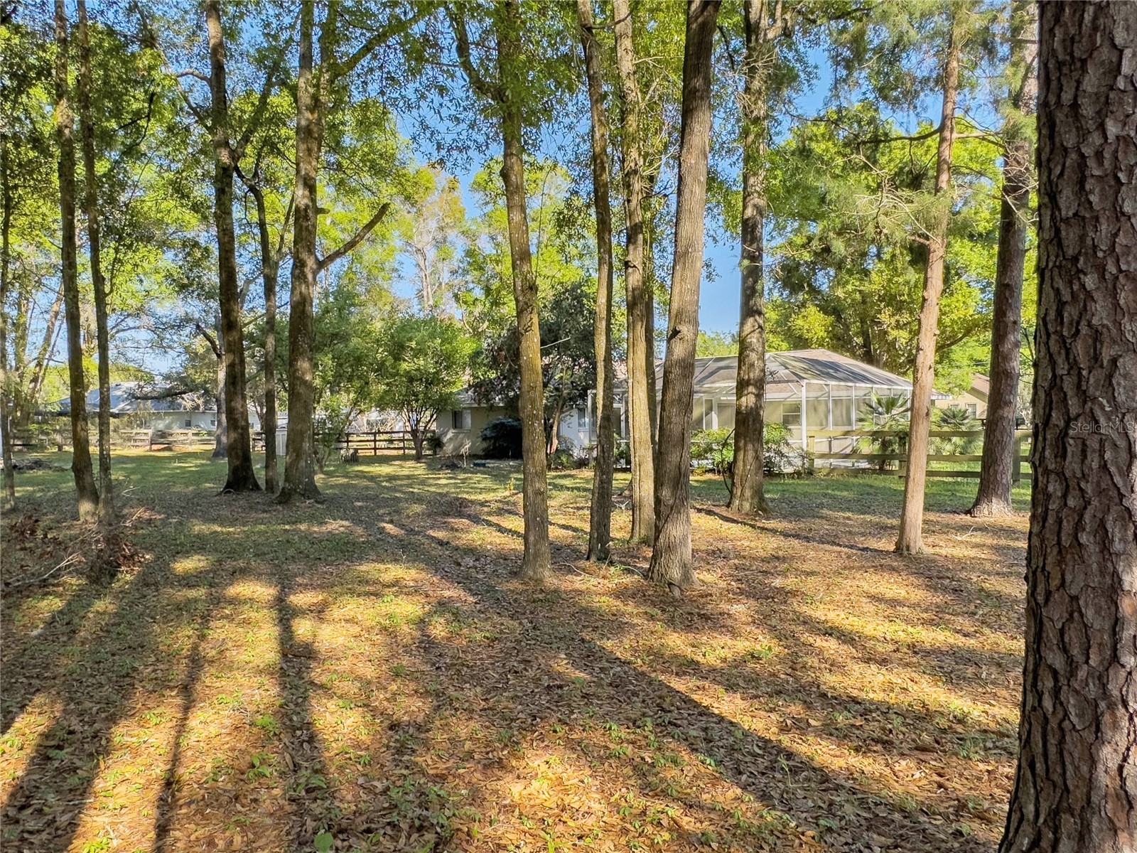 4 Hialeah Drive Ocala FL 34482 O6393447 image31