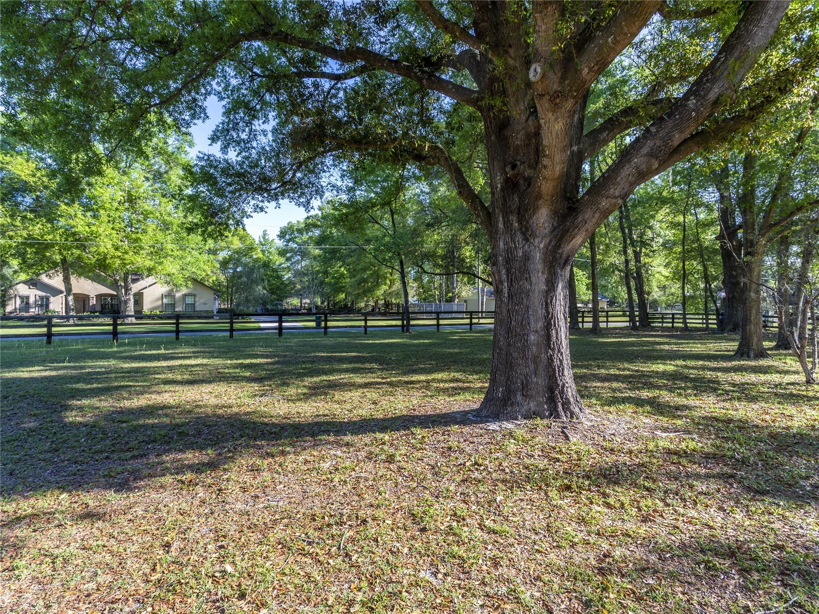 4 Hialeah Drive Ocala FL 34482 O6393447 image38