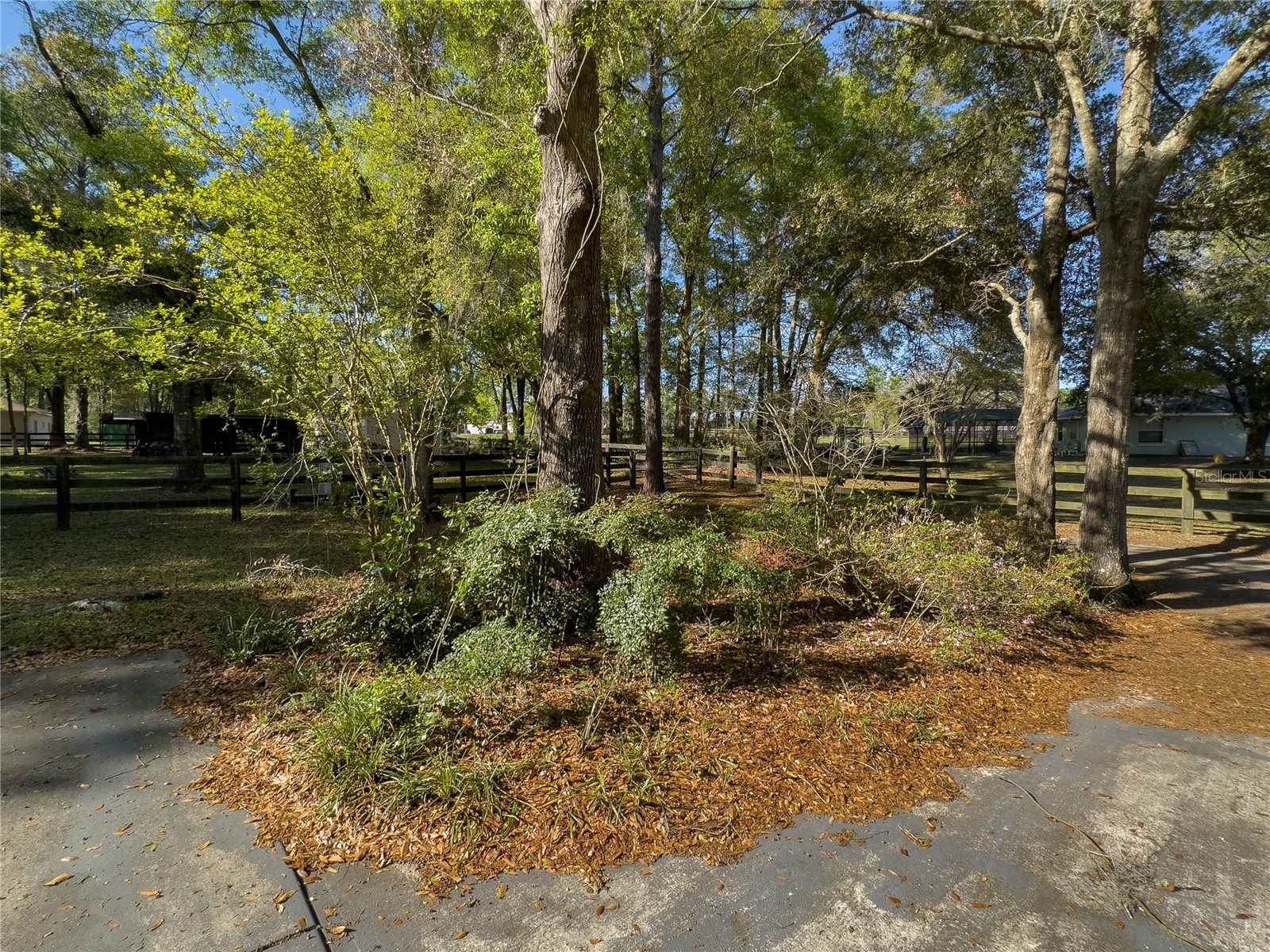 4 Hialeah Drive Ocala FL 34482 O6393447 image39